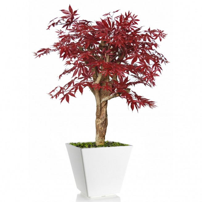 Planta semi-artificiala Ila, Maple Robustina Burgundy - 100 cm